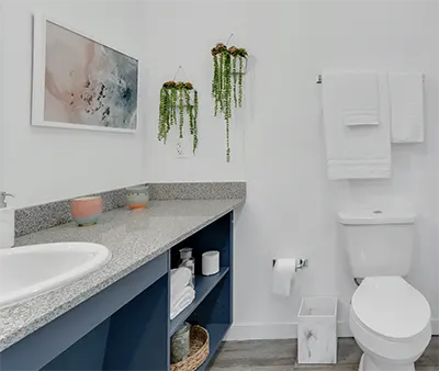 Student 3 Bedroom Apartments